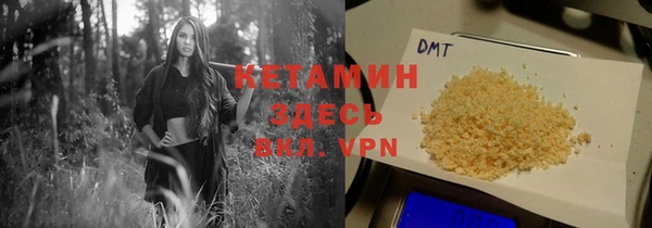 гидра Няндома
