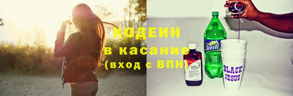 гидра Няндома