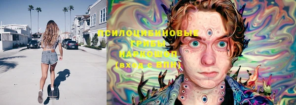 таблы Болхов