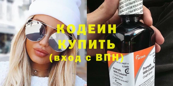 гидра Няндома