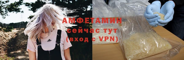 гидра Няндома
