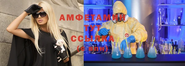 гидра Няндома